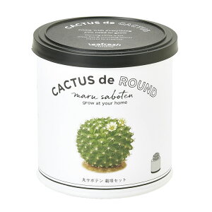 ySALE20%OFFzT{e ͔|Lbg CACTUS de CACTUS ͔| Lbg T{e  v[g   E` ~ ͔| ϗtA ӏܗpA ȒP ͔| R CeA  q[O K[