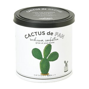 T{e ͔|Lbg CACTUS de CACTUS ͔| Lbg T{e  v[g   E` ~ ͔| ϗtA ӏܗpA ȒP ͔| R CeA  q[O K[fjO 