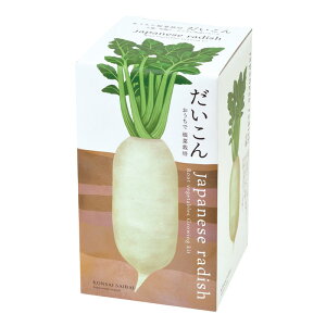 ͔|Lbg ō؍͔|Zbg q͔|Zbg 卪 lQ ڂ  ƒ؉  ͔| ϗtA | n R qy߂ Lb`؉ Lb`K[f K[fjO 