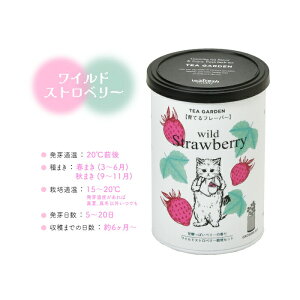 ハーブ 栽培キット Grow Flavor 育てるフレーバー 栽培 セット おしゃれ かわいい プレゼント ギフト 贈り物 誕生日 観葉植物 初心者 herb 種 種子 土 室内 キッチン ミント ハーブティー 料理 ガ