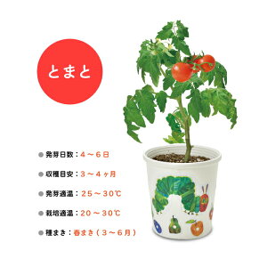 はらぺこあおむし 栽培セット 栽培キット おしゃれ かわいい ギフト 贈り物 種 キャラクター グッズ キッチン 子供 こども 自由研究 夏休み 教育 知育 教材 ガーデニング 家庭菜園 室内 植物