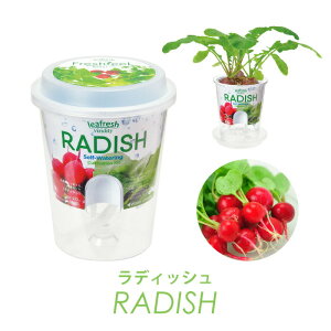 ySALE30%OFFztbVtB[  ͔| Zbg t ~jg}g fBbV zE\E ^X xr[[t VN A ͔| K[fjO Ă y wV[ NI ƒ؉ 