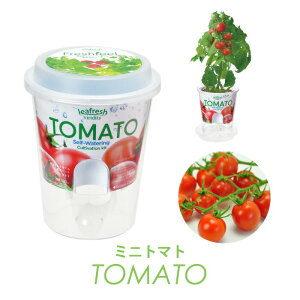 ySALE30%OFFztbVtB[  ͔| Zbg t ~jg}g fBbV zE\E ^X xr[[t VN A ͔| K[fjO Ă y wV[ NI ƒ؉ 