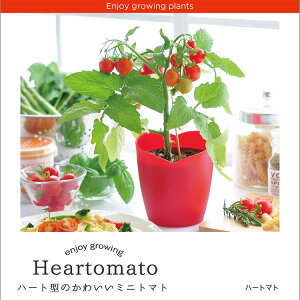 n[g}g g}g ~jg}g ͔|Zbg ͔|  ϗtA ȒP R CeA  q[O bNX K[fjO Ϗ y R  GD546 991594 cop