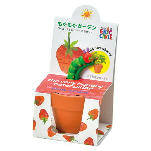 ͂؂ނ K[f͔|Zbg n[u C`S ChXgx[ o[ IWo[ ͔| ƒ؉ Ă H R