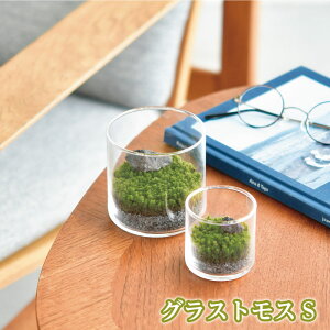 �O���X�g���X S �� �e�����E�� �L�b�g ��Ă� ���񂽂� �W�I���} �q�[�����O �� �����b�N�X �J�^ ���R���� �C���e���A �A�� ��Ă� �ȒP �K�[�f�j���O �v���[���g ���� ����y � 992887