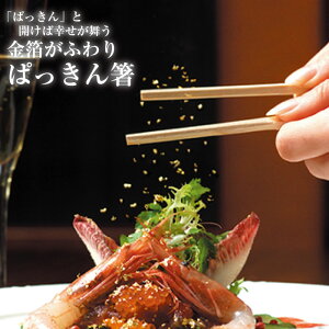 ς 2VZbg 蔢 j jV j j N  Y Hp    j Mtg J^  a  Zbg  991702