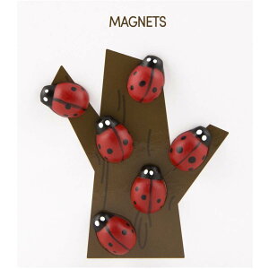 lIW   킢 Aj} lIWE }Olbg Ck lR nlY~ ETM egEV Aq    }XRbg w  ] j a 蕨 Mtg 