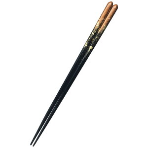 {ElO߂đ`̍ VR h G̋Z@ŋU΂߂̕炵ɍ ͖{ׂ~߉HŎg₷ o _ ዷ̔ElDȂ