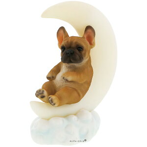 AăhLbƂقǖ{Ȍ K[fI[ig [Cg Oɕ  DȐlւ̃v[g IuWF u pOAt`uAVi