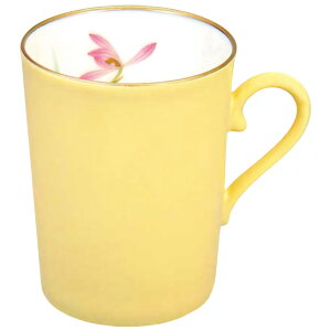  Jbv̓ɗD`ꂽ }OJbv WDF̉F 300ml ӂ͋̂炢 LcĂ̘V ϔőɂœK GF[wbN