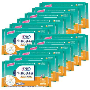 Ct[ lpӂ gCɗ 864(72×12) [P[Xi]