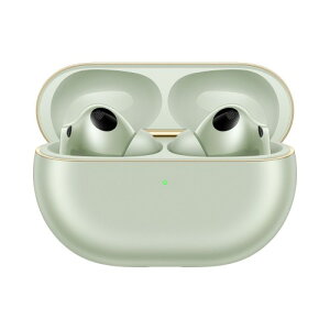 HUAWEI FreeBuds Pro 4 ���C�����X�C���z�� �J�i���^ �n�C���]�Ή� �_�C�i�~�b�NANC3.0 IP54�h�o�h�H 33���ԉ��y�Đ� ���C�����X�[�d �O���[��