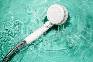 ���������쏊 MIZSEI �o�u���[�~�X�e�B �V�����[�w�b�h SH219-2T