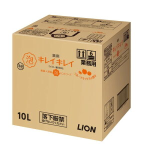 Ɩp eʃLCLC p Anh\[v 10L t[c~bNX̍ (򕔊Oi) lߑւ