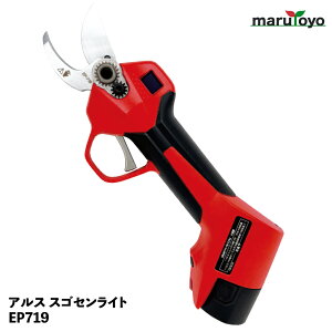 AX R[hX[d΂ EP-719 XSZCg LOP[X [ ARS d }؂ Sy ֐n ]