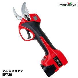 楽天市場】丸山製作所 BIG-M 人力噴霧器 除草剤専用スプレー20型-1 