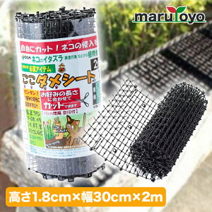 _V[g[ 30cm×2m yLzylRzyNh~zyhbz