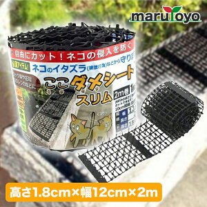 _V[g X 12cm×2m yLzylRzyNh~zyhbz