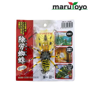 ŃMl Jw M-46 [ |pi _sgp Q΍ VG 悯 _ K[fjO ]