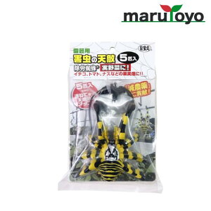 ŃMl |p Q̓VG Jw M-53 [ _sgp Q΍ VG 悯 t _ K[fjO ]