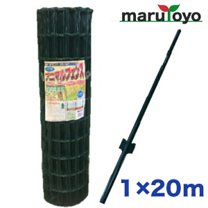 y@llzVZC Aj}tFX 1m×20m px11{t y[J[z