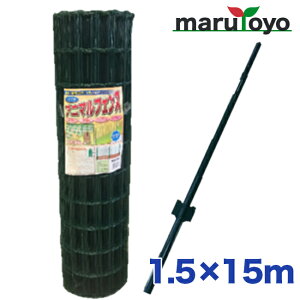 y@llzVZC Aj}tFX 1.5m×15m px11{t y[J[z