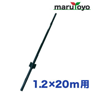 y@llzVZC Aj}tFX x̂ 1P 1.2m×20mp y[J[z