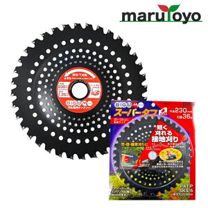 �ێR���쏊 BIG-M �`�b�v�\�[ BIGM �`�b�v�\�[ �X�[�p�[�^�t 230×36P 643965 [ �}�����} BIGM ]