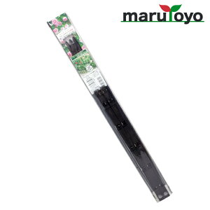 tFXZbg H90 65cm×90cm ubN [ tFX o [Y  Ԓd x  | ؉ ƒ؉ K[f K[fjO   ]