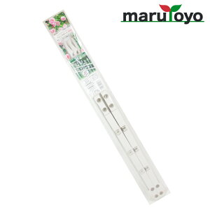 yOUTLETztFXZbg H90 65cm×90cm zCg [ tFX o [Y  Ԓd x  | ؉ ƒ؉ K[f K[fjO   ]