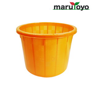 A ی^ n  /  [  ʎ ʎ n JS ]