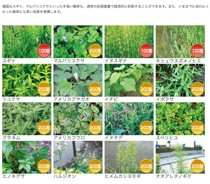 Basf バスタ液剤 1l 経済的 希釈 安心 雑草 噴霧器 雑草対策 原液 合計12l 12本セット 薬 水でうすめてまくだけ 対策 除草剤 散布 薬剤 1リットル