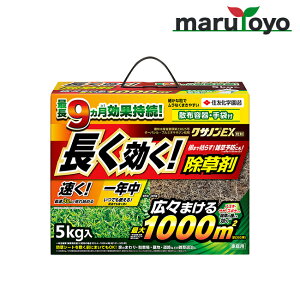 ZFw| NTmEX 400g / 800g / 3kg / 5kgy   ̂܂܎g G ֗z