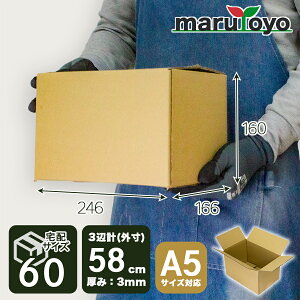 marutoyo z60TCY _{[ A5TCYΉ / 246×166×160mm 3ӌv58cm F / 10 30 60 100 [  _{[  z z i{[ z [ J ʔ 䂤pbN Еt 