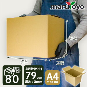marutoyo z80TCY _{[ A4TCYΉ / 316×226×252mm 3ӌv79cm F / 10 30 60 100 [  _{[  z z i{[ z [ J ʔ 䂤pbN Еt 