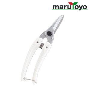 AX ARS ԁE| t@~[fbNX 140DX yʁE^ [   ͂  | ٖD ֗ n ]