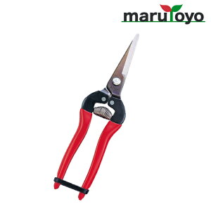 AX ARS EO^Cv 300L-BP [ n ͂  | ٖD ֗ n ]