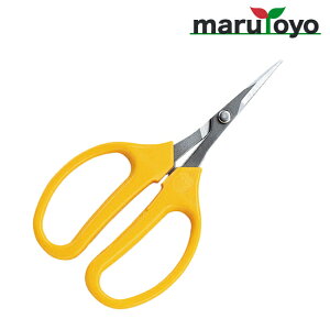 AX ARS Ԃǂ n 320DX-T-BP [ n ͂  | ٖD ֗ n ]