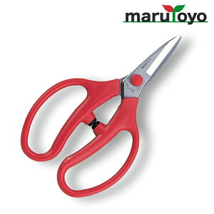 AX ARS  to16 FL-16-BP [  ͂  | ٖD ֗ n ]