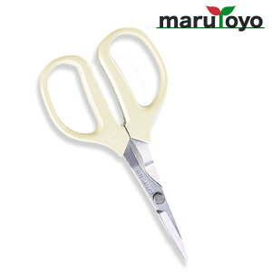 AX ARS Ntg`L v`Ntg 360-T [ \ ͂  | ٖD ֗ n ]