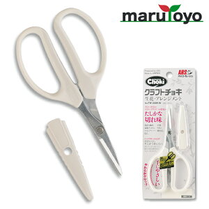 AX ARS Ntg`L FW-330H [ Ԑn \  ͂  | ٖD ֗ n  ʎ   HEDIY dCH  | Lb` s vX`bN @ |pz   