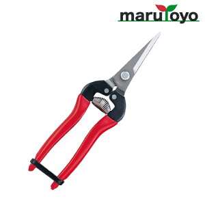 AX ARS E O^CvXeX 300L-DX-BP [ n ͂  | ٖD ֗ n ]