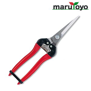 AX ARS E GNXgO^CvXeX 300LL-DX-BP [ n ͂  | ٖD ֗ n ]