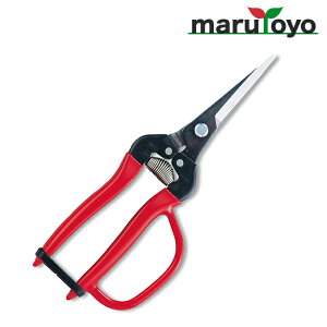 AX ARS E GNXgO^Cv 300LL-G-BP K[ht [ n ͂  | ٖD ֗ n ]