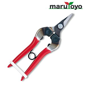 AX ARS c 310-D-K-BP [ n ͂  | ٖD ֗ n ]