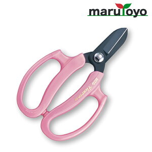 AX ARS Ԃ͂ t[ FP-17-P [  ͂  | ٖD ֗ n ]