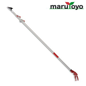 �A���X 150ZZ-4.1-6D ���y�� 3�{�L�k�����}�� ���C�g�`���L�_�u���Y�[�� [ ���} �͂��� �� ���| �ٖD �֗� �n�� ARS ]
