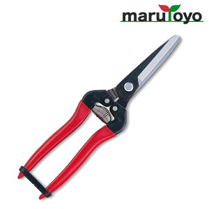 AX ARS ؉ 300LW-BP [ n ͂  | ٖD ֗ n ]