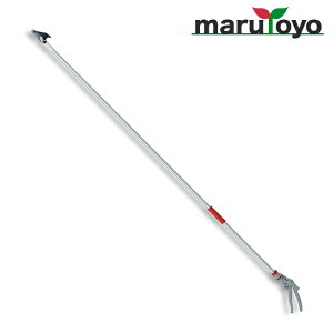 AX ARS yʍ} Cg`L 150S-1.8D [ } ͂  | ٖD ֗ n ]